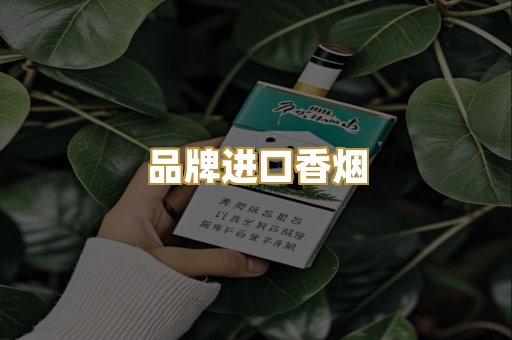 品牌进口香烟